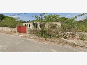 Terreno en Venta en Plan de Ayala Sur Mérida