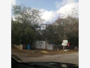 Terreno en Venta en Xcunya Mérida