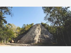 Terreno en Venta en Francisco Uh May Tulum