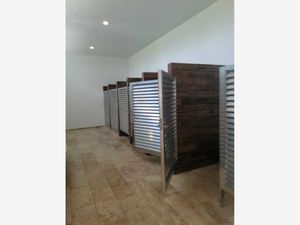 Terreno en Venta en Yaxkukul Yaxkukul