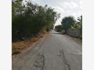 Terreno en Venta en Xcunya Mérida