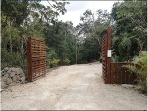 Terreno en Venta en Francisco Uh May Tulum