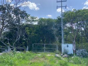 Terreno en Venta en Yaxcopoil Umán