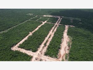 Terreno en Venta en San Antonio Chel Hunucmá