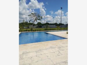 Terreno en Venta en Sierra Papacal Mérida