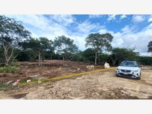 Terreno en Venta en Komchen Mérida