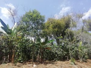 Terreno en Venta en Monte Salas Fortín