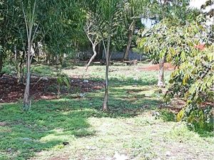 Terreno en Venta en Las Palmas Fortín