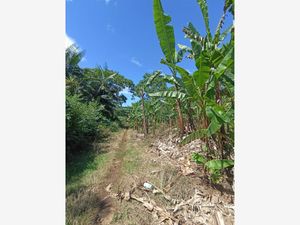 Terreno en Venta en Monte Salas Fortín