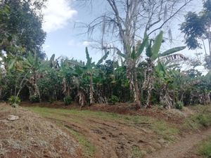 Terreno en Venta en Monte Salas Fortín