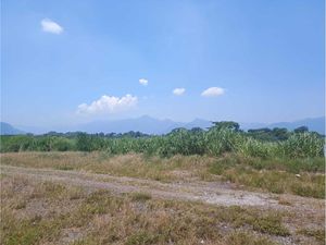 Terreno en Venta en Amatlán de los Reyes Centro Amatlán de los Reyes