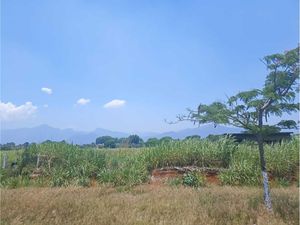 Terreno en Venta en Amatlán de los Reyes Centro Amatlán de los Reyes