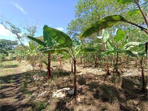 Terreno en Venta en Monte Salas Fortín