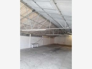 Bodega en Renta en Nuevo Córdoba Córdoba