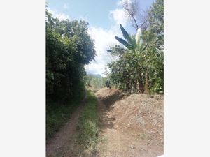 Terreno en Venta en Monte Salas Fortín