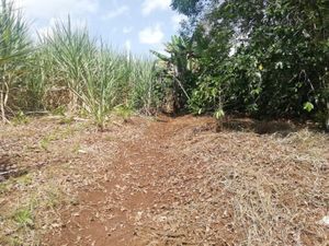 Terreno en Venta en Monte Salas Fortín