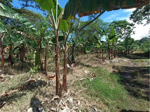 Terreno en Venta en Monte Salas Fortín