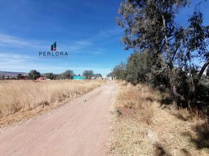 PERLORA VENDE TERRENO en Corral de Barrancos