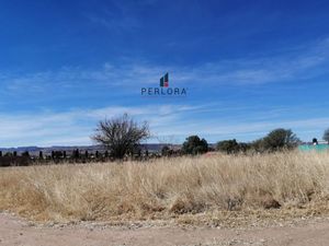 PERLORA VENDE TERRENO en Corral de Barrancos