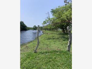 Terreno en Venta en Riachuelo Tecolutla