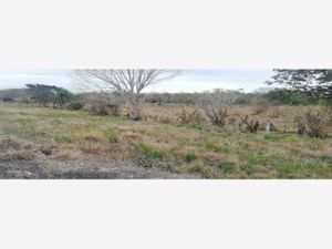 Terreno en Venta en Jamapa Jamapa