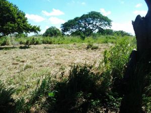 Terreno en Venta en Mata de Pita Veracruz