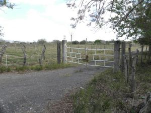 Terreno en Venta en Soledad de Doblado Centro Soledad de Doblado