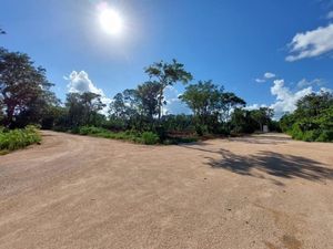 Terreno en Venta en Quintana Roo Quintana Roo