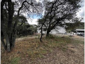 Terreno en Venta en Rancho San Juan Atizapán de Zaragoza