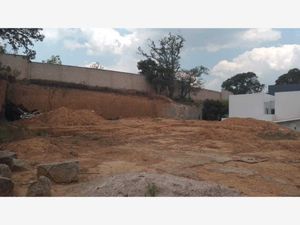 Terreno en Venta en Rancho San Juan Atizapán de Zaragoza