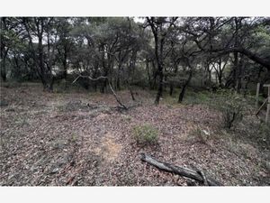 Terreno en Venta en Rancho San Juan Atizapán de Zaragoza