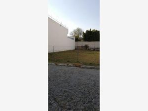 Terreno en Venta en Santa Cruz Guadalupe Puebla