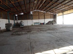 Bodega en Venta en Ampliación San Pablo de las Salinas Tultitlán