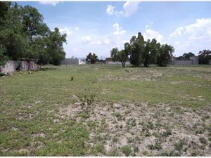 Terreno en Renta en Barrio San Francisco Molonco Nextlalpan