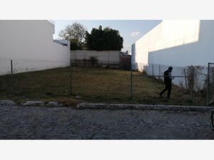 Terreno en Venta en Santa Cruz Guadalupe Puebla