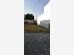 Terreno en Venta en Santa Cruz Guadalupe Puebla