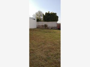 Terreno en Venta en Santa Cruz Guadalupe Puebla