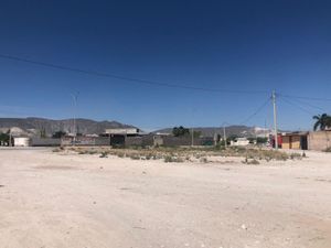 Terreno en Venta en Nueva Laguna Sur Torreón