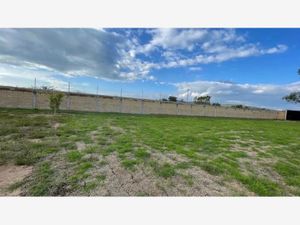 Terreno en Renta en la llave San Juan del Río