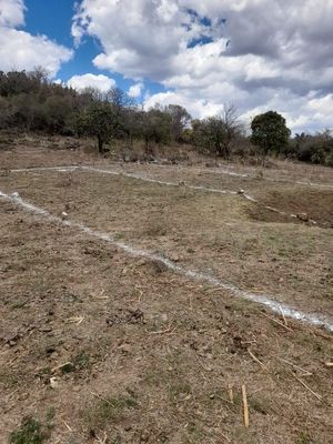 •	“PARCELA EN VENTA A 300 MTS CARRETERA A PATZCUARO”