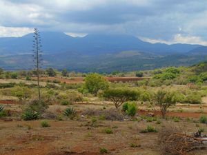 TERRENOS EN VENTA SALIDA A PATZCUARO MICHOACAN