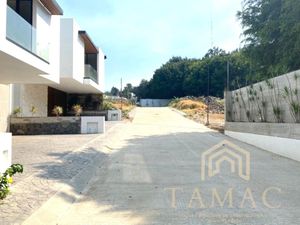 Terreno en Venta en Buenavista Cuernavaca