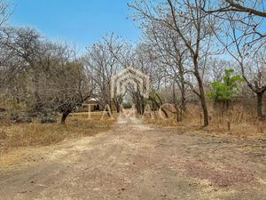 Terreno en Venta en Tepoztlan Centro Tepoztlán