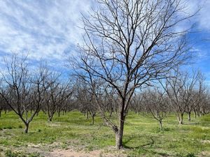 Finca/Rancho en Venta en José Mariano Jiménez Centro Jiménez