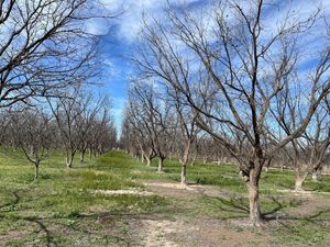 Finca/Rancho en Venta en José Mariano Jiménez Centro Jiménez