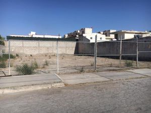Terreno en Venta en Residencial Campestre la Rosita Torreón