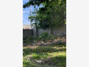 Terreno en Venta en Parras de la Fuente Centro Parras