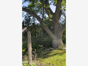 Terreno en Venta en Parras de la Fuente Centro Parras