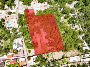 Terreno en Venta en Parras de la Fuente Centro Parras