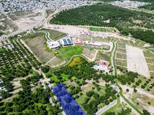 Terreno en Venta en Parras de la Fuente Centro Parras